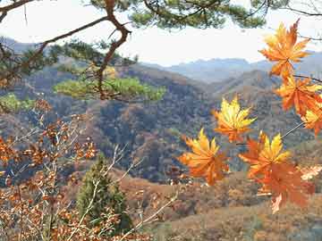 湖人交易最新消息